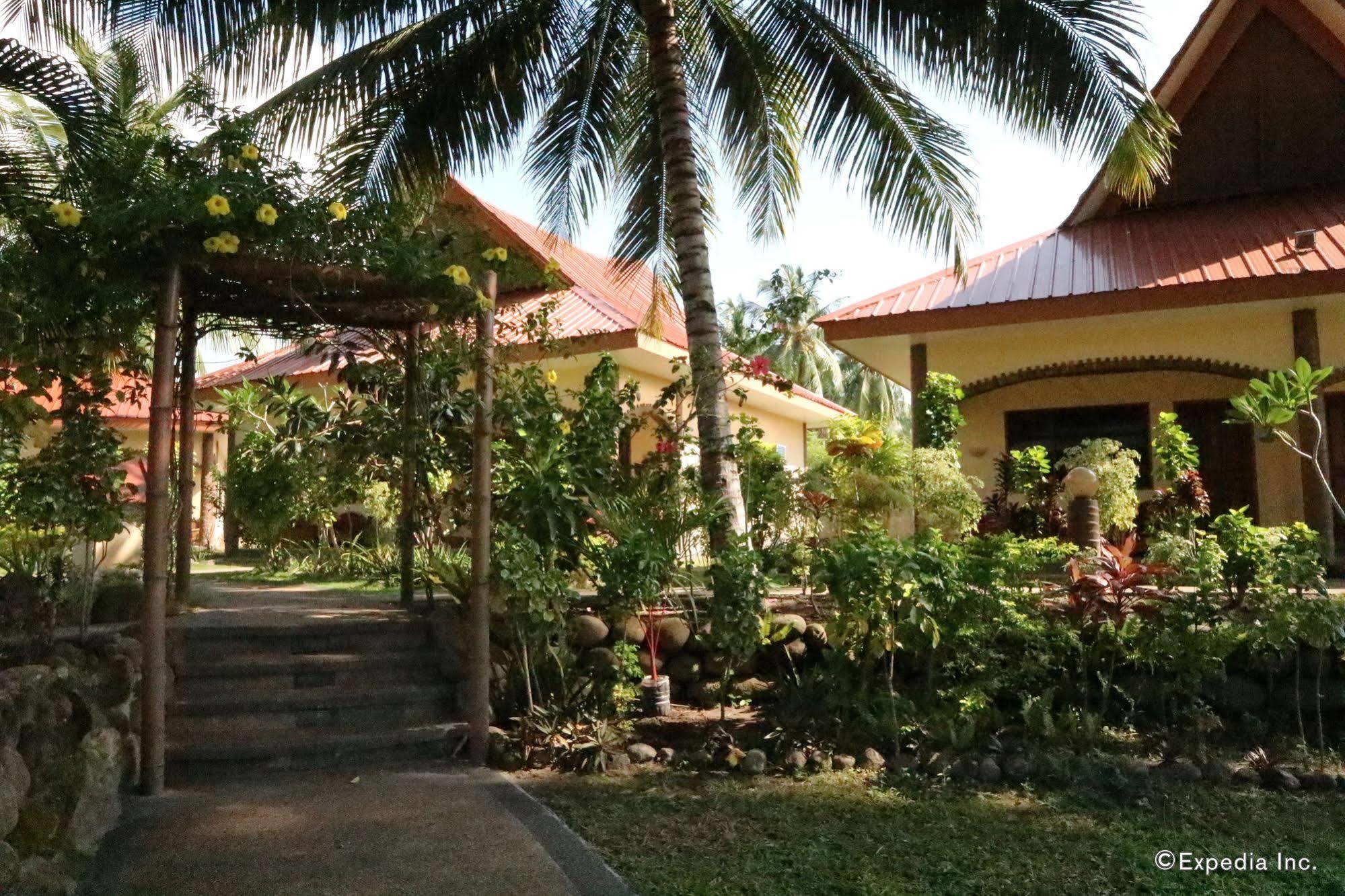 Aqua-Landia Resort Dauin Exterior photo